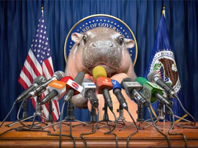 ARD OF GOVERN NEW 10. BOAR RS