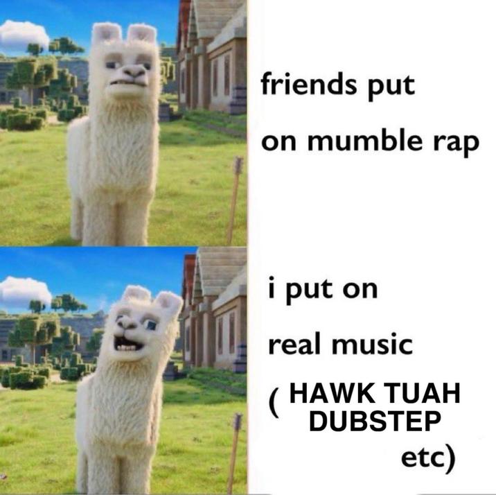 friends put on mumble rap i put on real music (HAWK TUAH DUBSTEP etc)