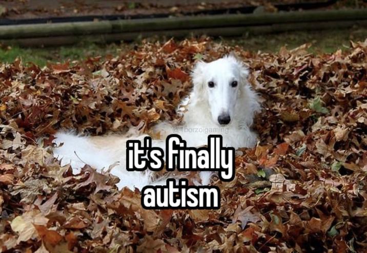 @borzoigaming it's finally autism