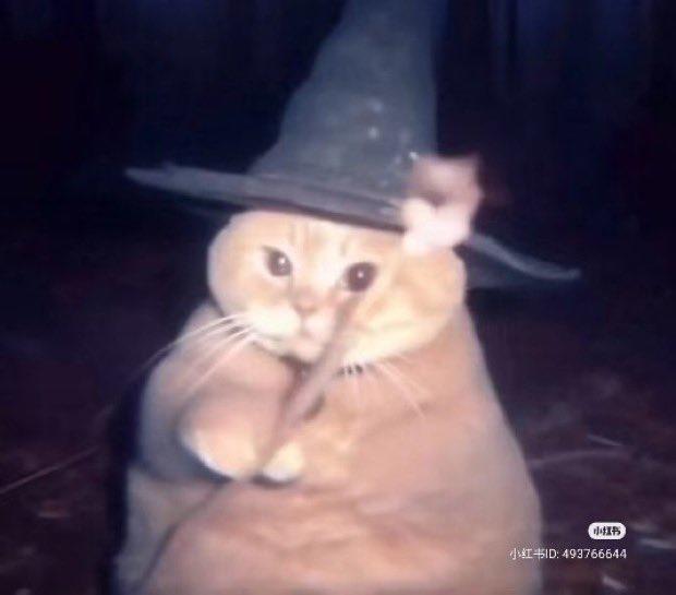 小推书 小红书ID:493766644