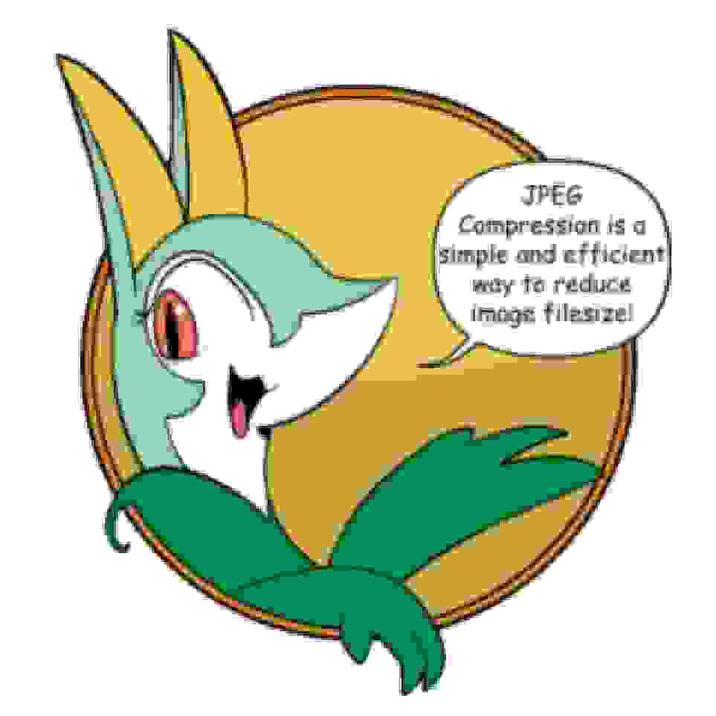 JPEG Compression is a simple and efficient way to reduce image filesize!