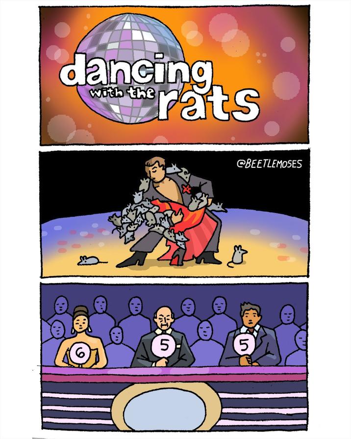 dancing the rats with the @BEETLEMOSES 5 5