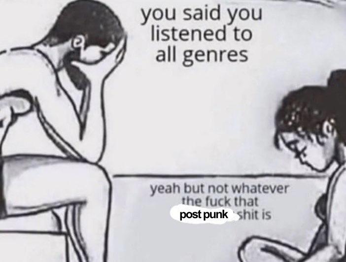 Meme about people who say they listen to "all genres" but post punk is actually too niche for them