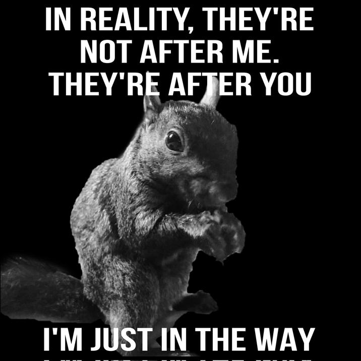 IN REALITY, THEY'RE NOT AFTER ME. THEY'RE AFTER YOU I'M JUST IN THE WAY