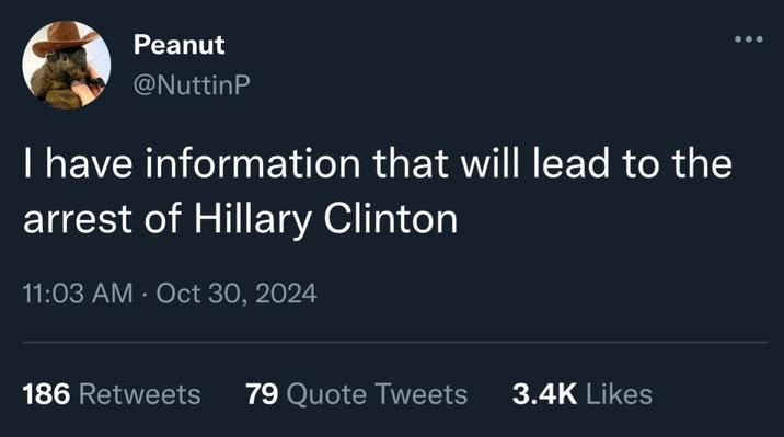 Peanut @NuttinP I have information that will lead to the arrest of Hillary Clinton 11:03 AM - Oct 30, 2024 186 Retweets 79 Quote Tweets 3.4K Likes