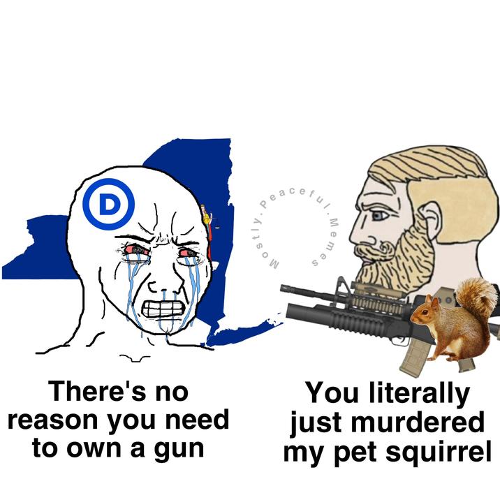 D ul. cefu W es Meme There's no reason you need to own a gun You literally just murdered my pet squirrel