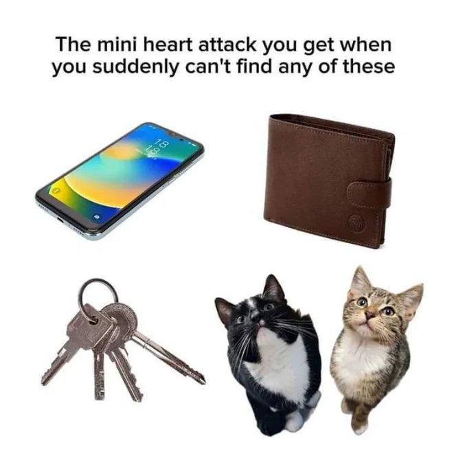 The mini heart attack you get when you suddenly can't find any of these 0000