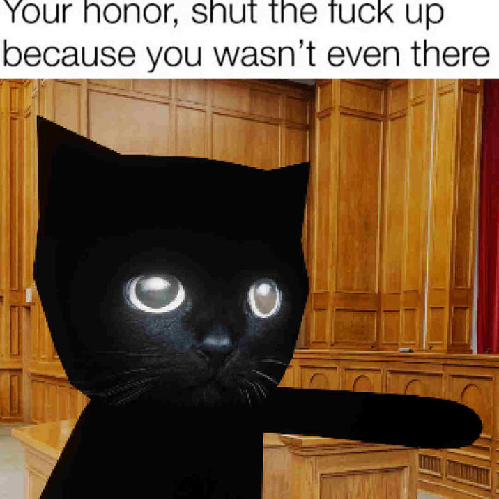 Your honor, shut the f--- up because you wasn't even there