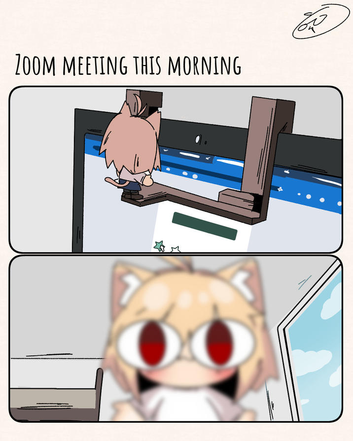 ZOOM MEETING THIS MORNING