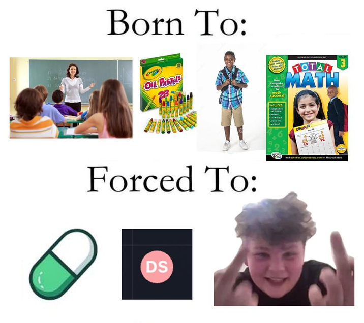Born To: Crayola OIL PASTELS Your Complete solution to math success! INCLUDES TOTAL MATH GRADE 3 Forced To: DS