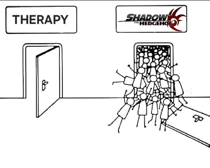 THERAPY SHADOW THE HEDGEHOG 80