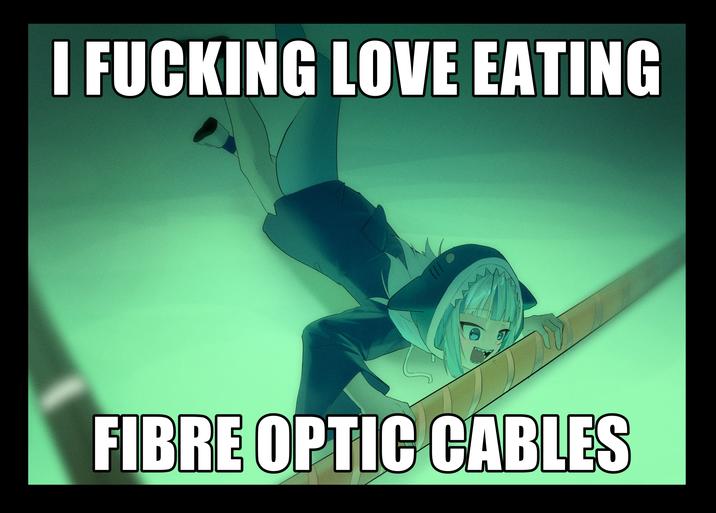 I F------ LOVE EATING FIBRE OPTIC CABLES