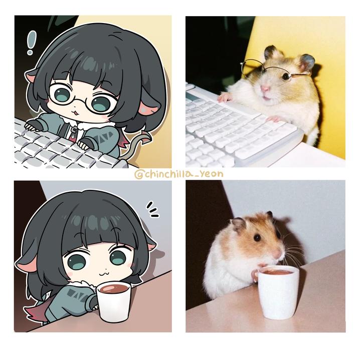 @chinchilla-yeon 10 " 3