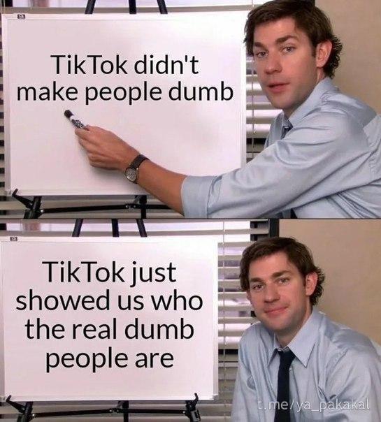 Tik Tok didn't make people dumb Tik Tok just showed us who the real dumb people are t.me/ya pakakal