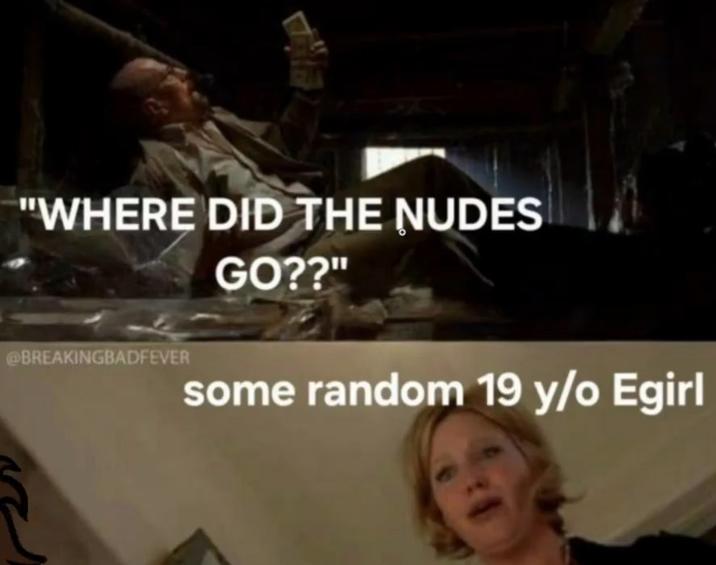 "WHERE DID THE NUDES @BREAKINGBADFEVER GO??" some random 19 y/o Egirl