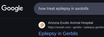 Google how treat epilepsy in axolotls Arizona Exotic Animal Hospital https://azeah.com > gerbils epilepsy-gerbils Epilepsy in Gerbils