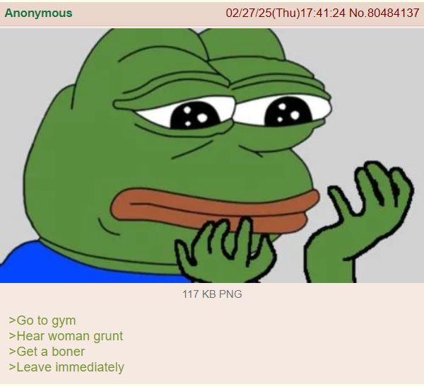 Anonymous >Go to gym >Hear woman grunt >Get a boner >Leave immediately 02/27/25(Thu)17:41:24 No.80484137 117 KB PNG
