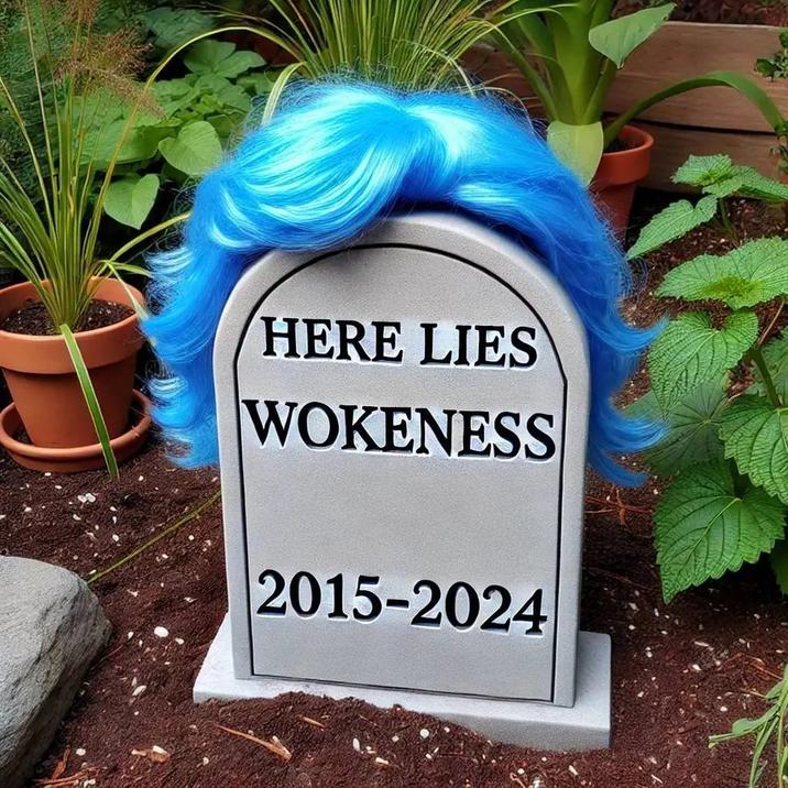 HERE LIES WOKENESS 2015-2024