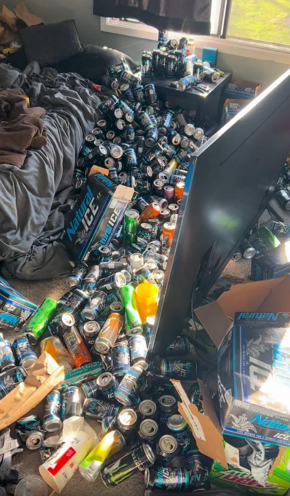 "I rent out rooms in my house and this is how my last roommate left it after just moving out with no notice. Every single person I have shown this to has gasped and then, upon reflection, made fun of him for drinking natty ice."

