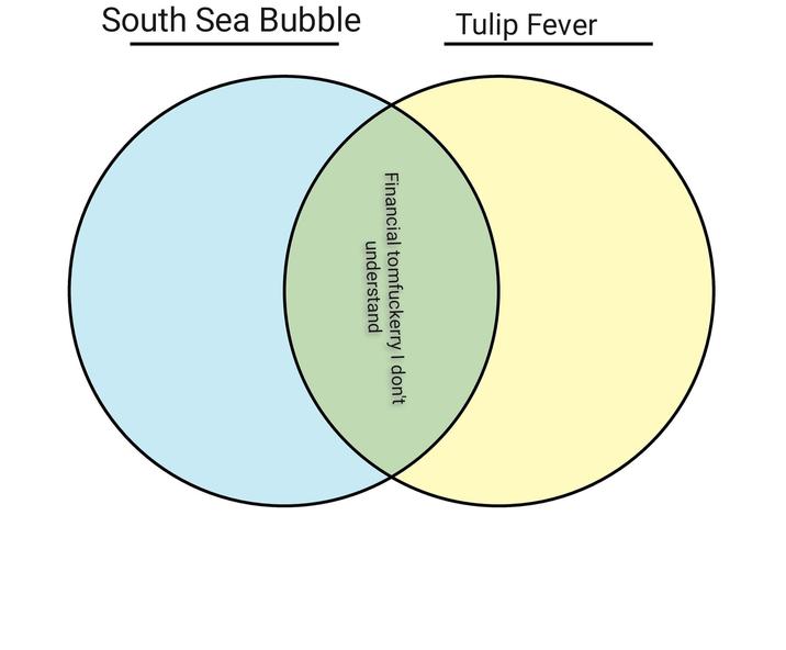 South Sea Bubble Tulip Fever Financial tomfuckerry I don't understand