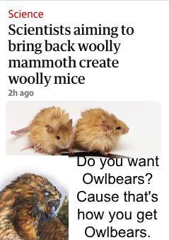 Science Scientists aiming to bring back woolly mammoth create woolly mice 2h ago Do you want Owlbears? Cause that's how you get Owlbears.