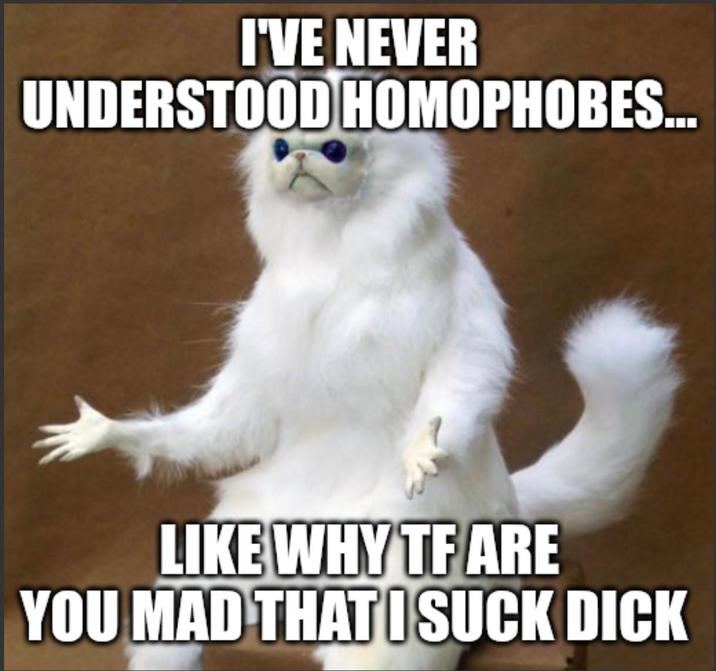 I'VE NEVER UNDERSTOOD HOMOPHOBES... LIKE WHY TF ARE YOU MAD THAT I SUCK D---
