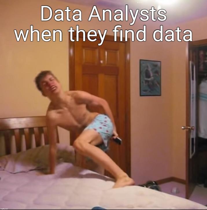 imgflip.com Data Analysts when they find data