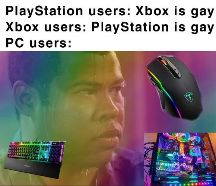PlayStation users: Xbox is gay Xbox users: PlayStation is gay PC users:
