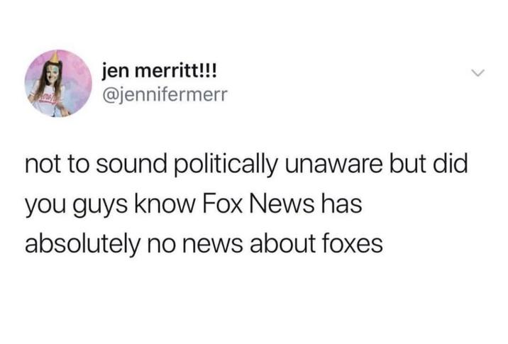 jen merritt!!! @jennifermerr not to sound politically unaware but did you guys know Fox News has absolutely no news about foxes