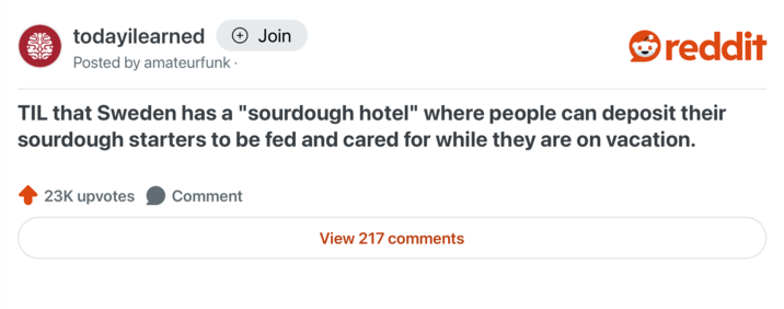 Jiju. todayilearned + Join Posted by amateurfunk⚫ reddit TIL that Sweden has a "sourdough hotel" where people can deposit their sourdough starters to be fed and cared for while they are on vacation. 23K upvotes Comment View 217 comments