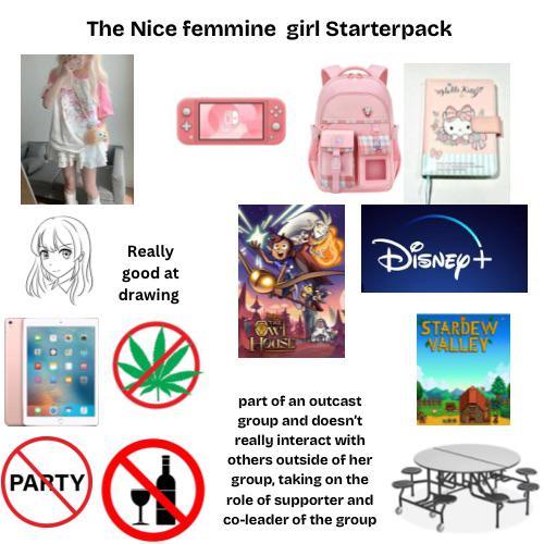 The Nice femmine girl Starterpack Really good at drawing + HOUSE PARTY part of an outcast group and doesn't really interact with others outside of her group, taking on the role of supporter and co-leader of the group DISNEY+ STARDEW VALLEY