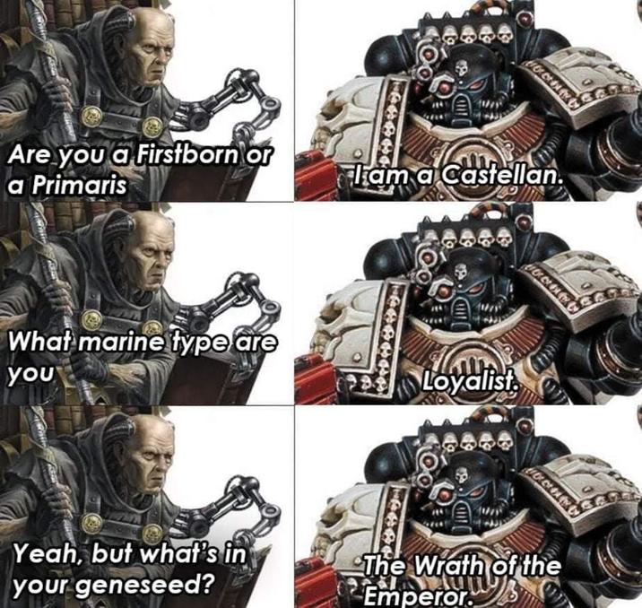 Are you a Firstborn or a Primaris Flam a Castellan. What marine type are you Yeah, but what's in your geneseed? Loyalist The Wrath of the Emperor.