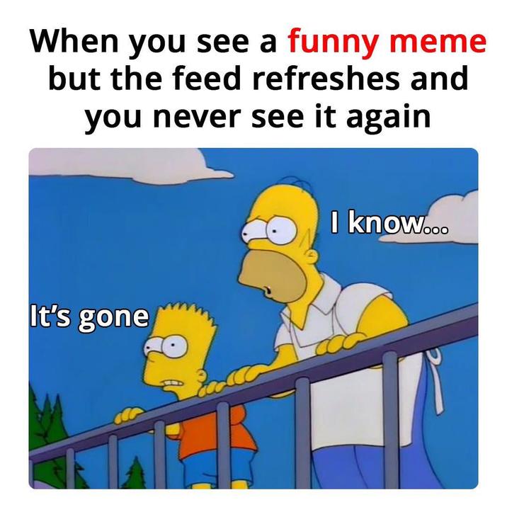 When you see a funny meme but the feed refreshes and you never see it again It's gone I know...