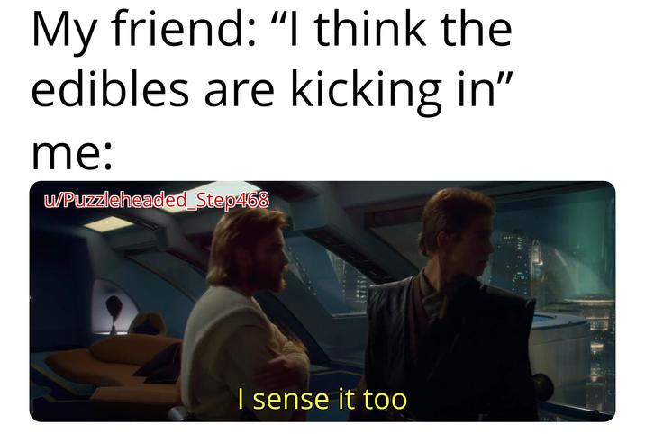 My friend: "I think the edibles are kicking in" me: u/Puzzleheaded Step468 I sense it too