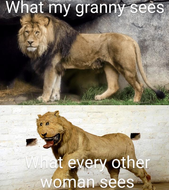 What my granny sees What every other woman sees