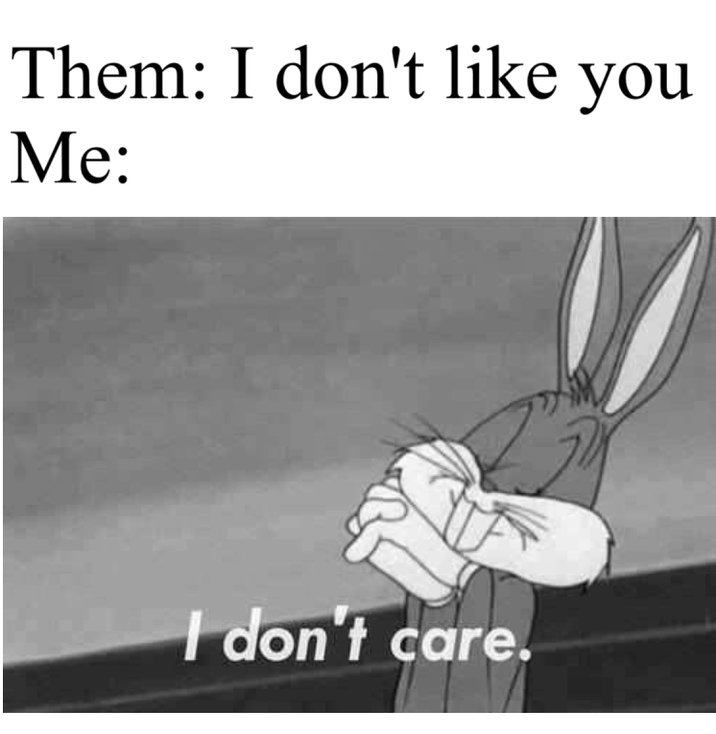 Them: I don't like you Me: I don't care.