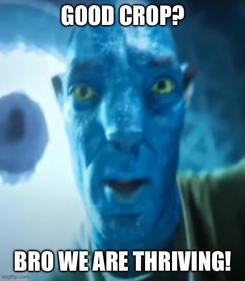 GOOD CROP? BRO WE ARE THRIVING! imgflip.com