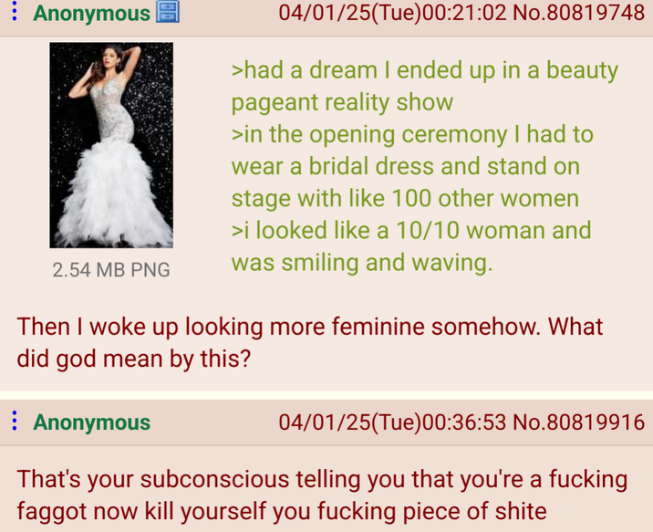 : Anonymous 2.54 MB PNG 04/01/25(Tue)00:21:02 No.80819748 >had a dream I ended up in a beauty pageant reality show >in the opening ceremony I had to wear a bridal dress and stand on stage with like 100 other women >i looked like a 10/10 woman and was smiling and waving. Then I woke up looking more feminine somehow. What did god mean by this? Anonymous 04/01/25(Tue)00:36:53 No.80819916 That's your subconscious telling you that you're a f------ f----- now kill yourself you f------ piece of s----