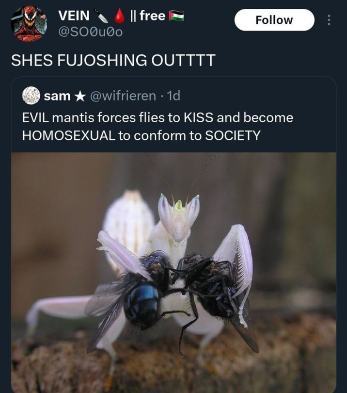 VEIN @SO0u00 || free SHES FUJOSHING OUTTTT sam@wifrieren. 1d Follow EVIL mantis forces flies to KISS and become HOMOSEXUAL to conform to SOCIETY