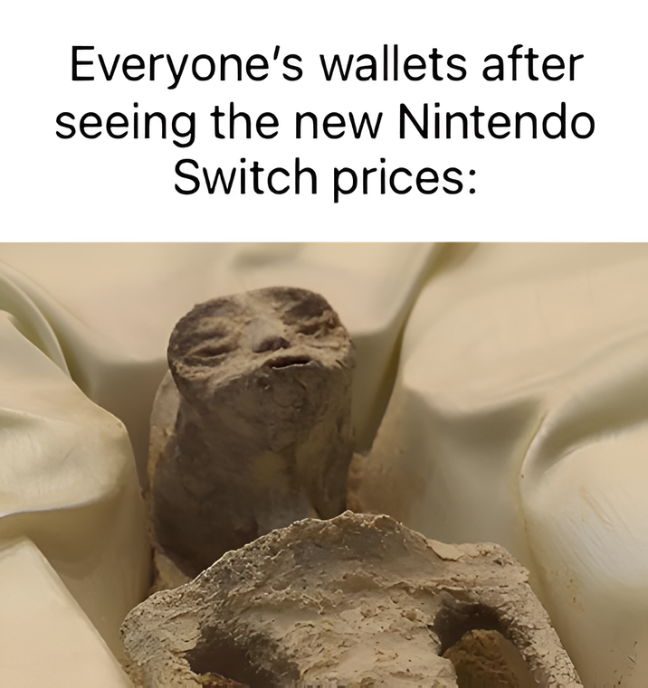 Everyone's wallets after seeing the new Nintendo Switch prices: