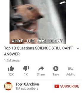 WHAT THE DOG DOIN? Top 10 Questions SCIENCE STILL CAN'T ANSWER 1.9M views 71 =+ 12K 1K Share Save Add to (10) Top10Archive 1M subscribers SUBSCRIBE