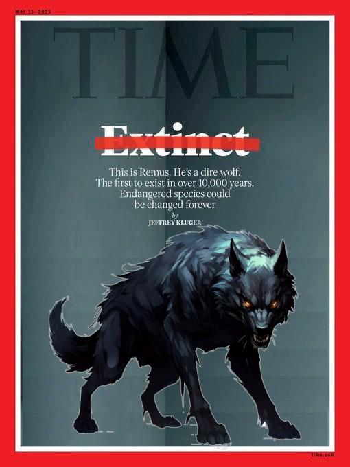 MAY 13, 2025 TIME Extinct This is Remus. He's a dire wolf. The first to exist in over 10,000 years. Endangered species could be changed forever JEFFREY KLUGER