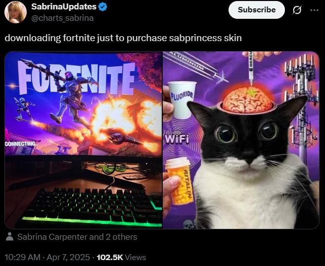 A meme reading, "downloading fortnite just to purchase sabprincess skin." The meme is about the Sabrina Carpenter skin in Fortnite.