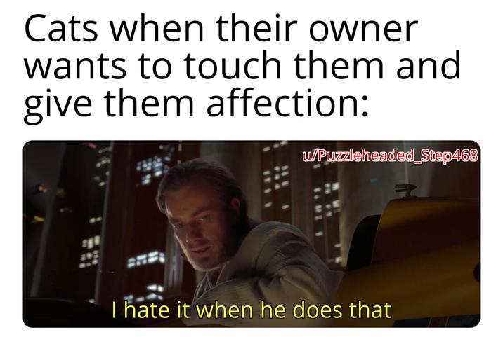 Cats when their owner wants to touch them and give them affection: u/Puzzleheaded_Step468 I hate it when he does that