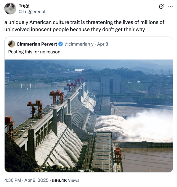 April 9th, 2025 tweet by @Triggeredal Amidst rising tensions between the U.S. and China in April 2025, several internet users began citing the Three Gorges Dam as a possible military target. X user @Triggeredal reacted to a tweet by @cimmerian_v about the Dam, writing, "a uniquely American culture trait is threatening the lives of millions of uninvolved innocent people because they don't get their way."