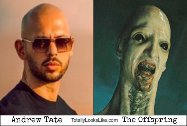 Andrew Tate TotallyLooksLike.com The Offspring