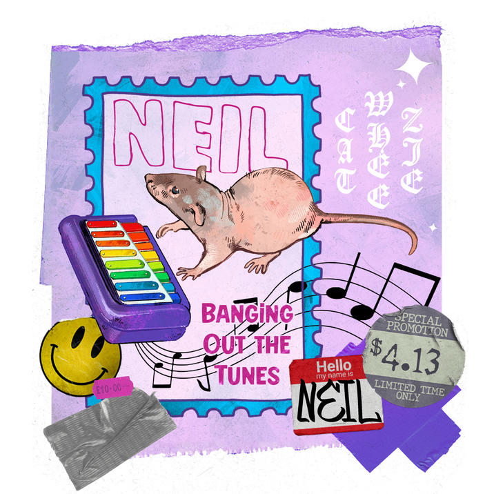 NEIL ARA ALIN £10.00 BANGING OUT THE TUNES Hello my name is SPECIAL PROMOTION $4.13 NEIL LIMITED TIME ONLY