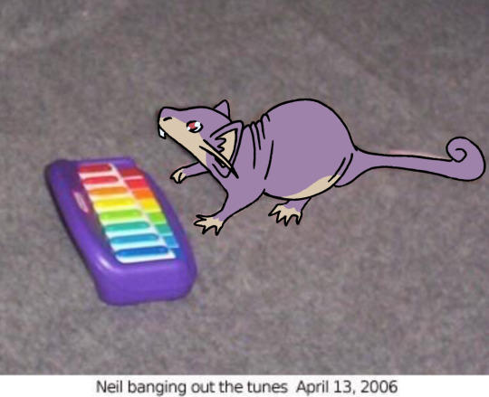 Neil banging out the tunes April 13, 2006