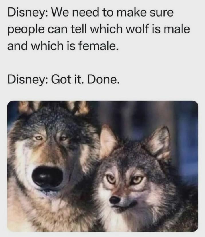 Disney: We need to make sure people can tell which wolf is male and which is female. Disney: Got it. Done.