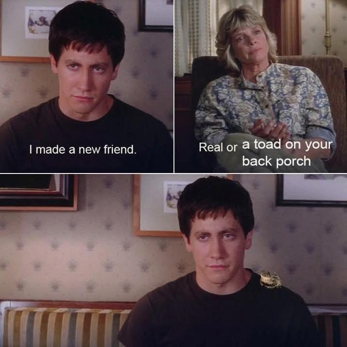 I made a new friend. Real or a toad on your back porch